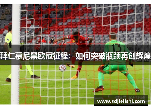 拜仁慕尼黑欧冠征程：如何突破瓶颈再创辉煌