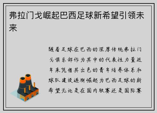 弗拉门戈崛起巴西足球新希望引领未来